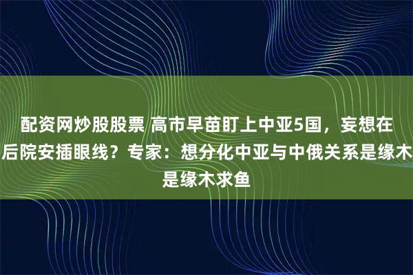 配资网炒股股票 高市早苗盯上中亚5国，妄想在中国后院安插眼线？专家：想分化中亚与中俄关系是缘木求鱼